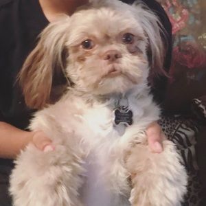 Meet your Posher, Barb